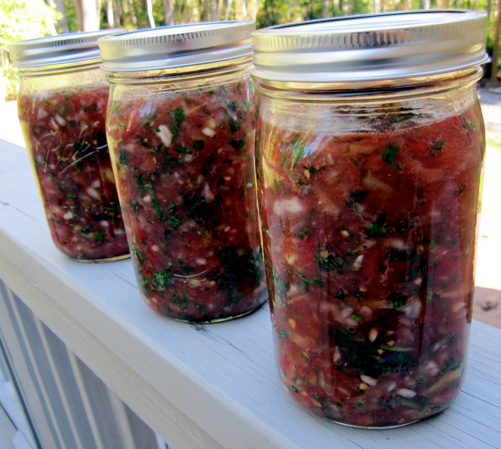 Lactofermented Salsa